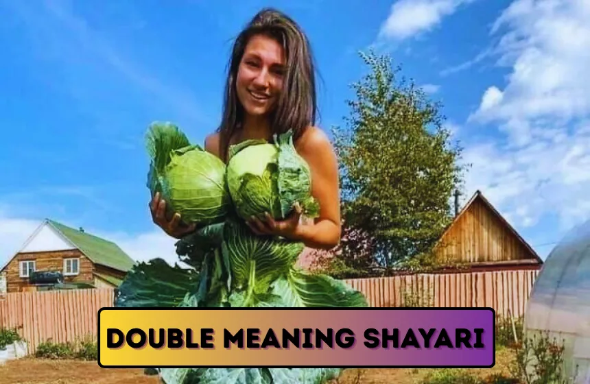Double Meaning Shayari