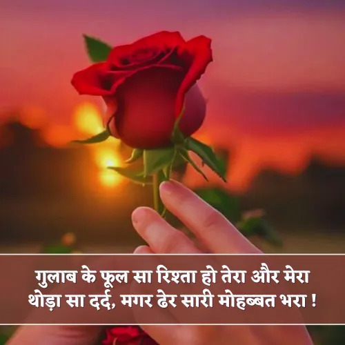Gulab Ka Phool Shayari Gulab Ka Phool Shayari