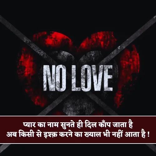No Love Shayari 2 Line No Love Shayari 2 Line