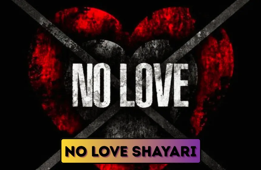 No Love Shayari