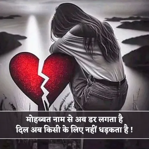No Love Shayari Girl No Love Shayari Girl