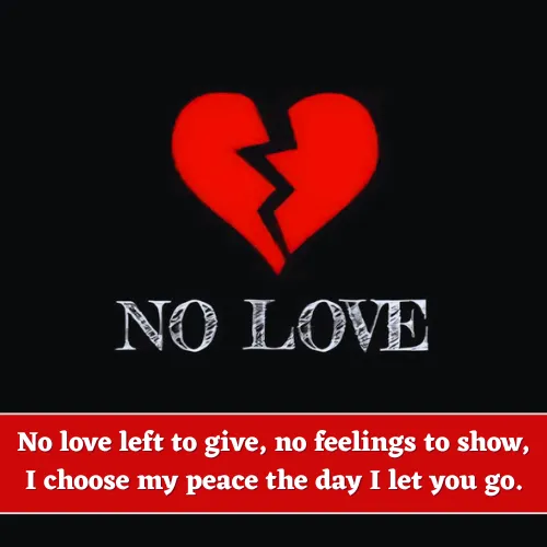 No Love Shayari in English No Love Shayari in English