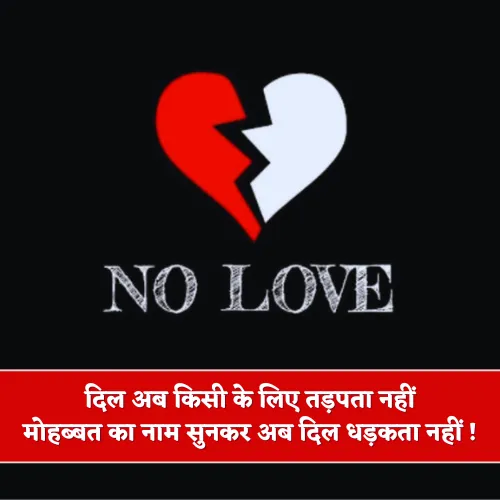 No Love Shayari No Love Shayari