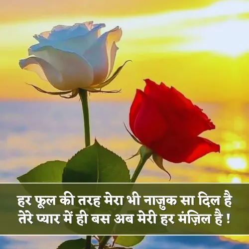 Phool Shayari 2 Line Love Phool Shayari 2 Line Love