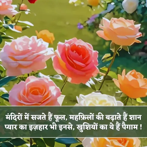 Phool Shayari in Hindi Phool Shayari in Hindi