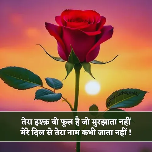 Romantic Phool Shayari Romantic Phool Shayari