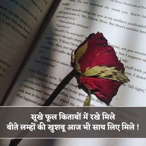 Sukhe Phool Shayari Sukhe Phool Shayari