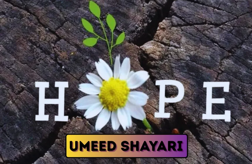 Umeed Shayari