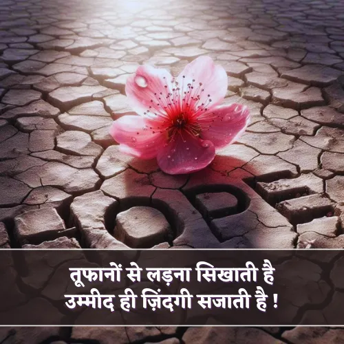 Zindagi Umeed Shayari Zindagi Umeed Shayari